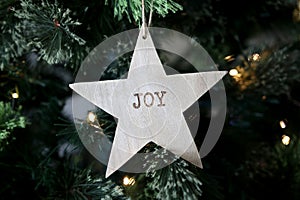 Joy at Christmas Time