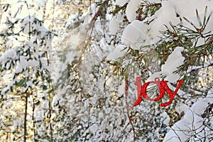 Joy Ornament in a Sunny Winter Forest