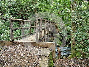 Joyce Kilmer Memorial Forest Wooden Foot Bridge