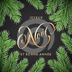 Joyeux Noel French Merry Christmas and Bonne Annee New Year holiday golden hand drawn quote calligraphy greeting card on Christmas photo