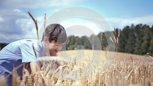Joyful Boy Celebrating Wheat Harvest on a Sunny Summer Day
