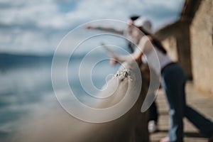 Joyful couple on vacation enjoying the seaside view on a sunny day