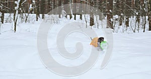 A joyful dog in a yellow blanket plays in blue snowdrifts in the forest