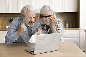 Joyful excited senior retired couple celebrating win, financial success