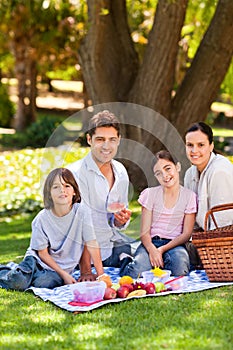 Joyful family picnicking in the park