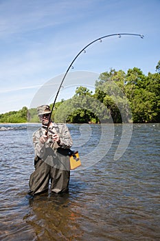 Joyful fisherman pulls caught salmon