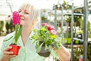 Joyful Gardener Enjoying Fragrant Pink Flowers