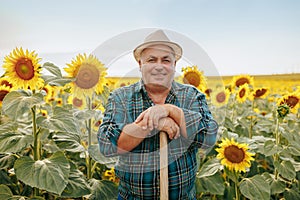 Joyful Gaze Aged Farmer Beaming Amid Sunflower Serenity