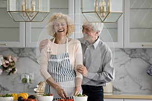 Joyful happy retired couple cooking in home kitchen together