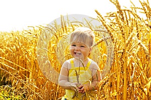 Joyful kid in wheat field