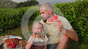 joyful little girl and her father are eating juicy watermelon in picnic in nature