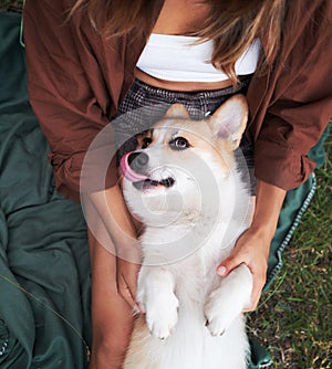 Joyful playtime, young woman cuddles with a smiling Welsh Corgi in the park