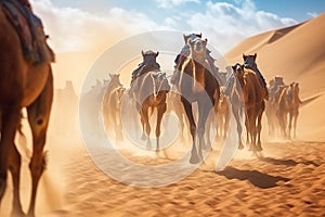 Joyful Tourist on Group Camel Ride in Desert