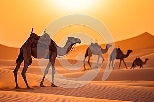 Joyful Tourist on Group Camel Ride in Desert