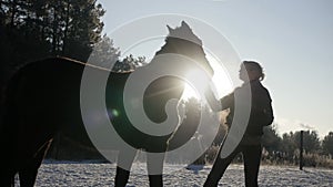 Joyful woman kisses a horse