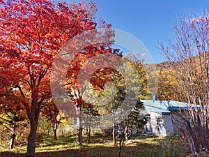 Jozankei onsen national park, Hokkaido, Japan