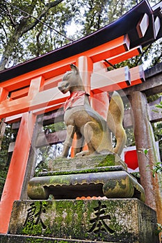 JP Kyoto Inari Fox Gate