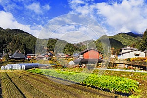 JP Ohara soil farm crops