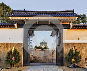 JP Osaka Castle Gate sky