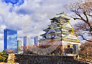 JP Osaka castle main left day