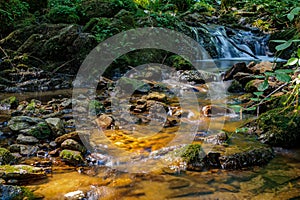 _JP85220-creek privacy. Blurred water movement obtained with a slow shutter time.