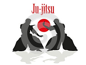 Ju-jitsu fight. photo
