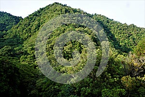 Juan Castro Blanco National Park hills on sunny morning photo