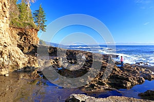 Juan de Fuca Provincial Park, Vancouver Island, Sandstone Shelves and Cliffs at Botanical Beach, British Columbia, Canada