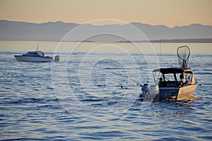 Sportfishing boats troll for salmon near Ogden Point on a sunny summer evening in August
