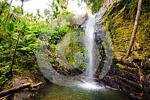 Juan Diego Falls at el Yunque rainforest Puerto Rico