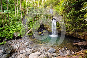 Juan Diego Falls at el Yunque rainforest Puerto Rico photo