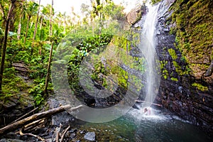 Juan Diego Falls at el Yunque rainforest Puerto Rico photo