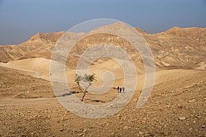 Judaean Desert hills