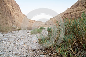 Judaean Desert valley