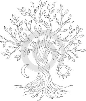 Judaism religion tree of life symbol with sun and moon graphic sketch template.