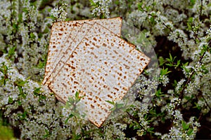 Judaism and religious on jewish matza on passover tallit