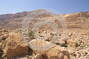 Judea desert, Israel photo