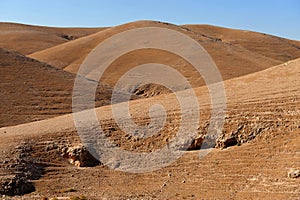 The Judean Desert Israel