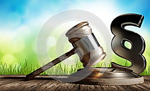 Judge law gavel with paragraph 3d-illustration