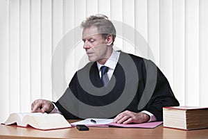 Judge or lawyer reading in a statute book