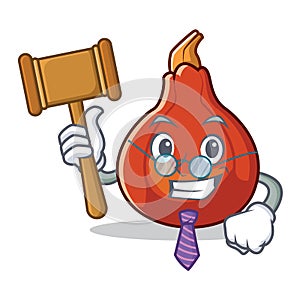 Judge red kuri squash mascot cartoon