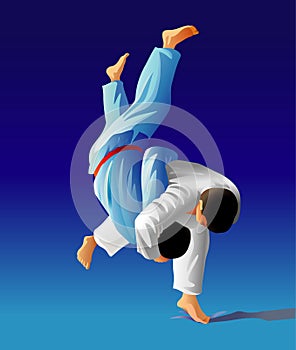 Judo photo