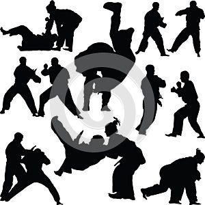 Judo martial art photo