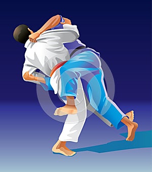 Judo photo
