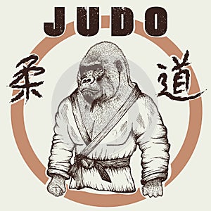 Judoka gorilla dressed in kimono