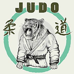 Judoka tiger dressed in kimono