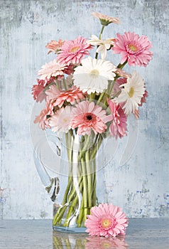 Jug of daisies - blue background