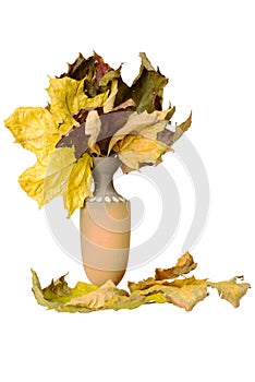 Jug with fallen leaves