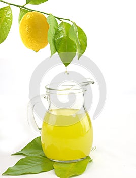 Jug of a fresh lemon juice