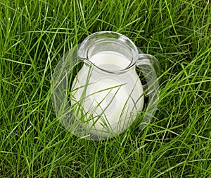 Jug of fresh milk in the green grass. Background.